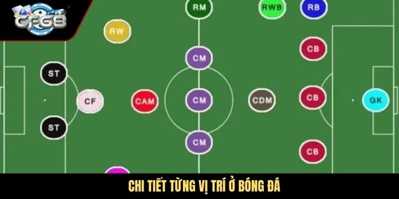 Chi tiết từng vị trí ở bóng đá