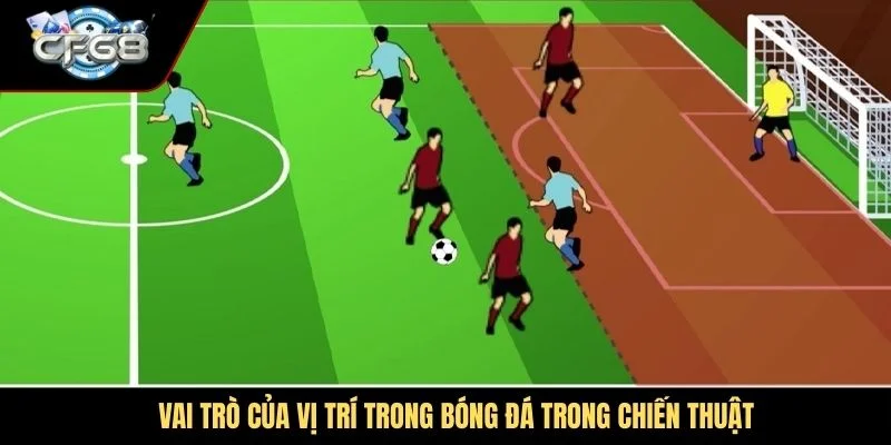 Vai trò của vị trí trong bóng đá trong chiến thuật