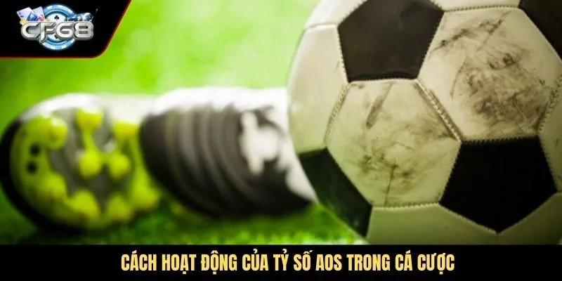 Cách hoạt động của tỷ số AOS trong cá cược